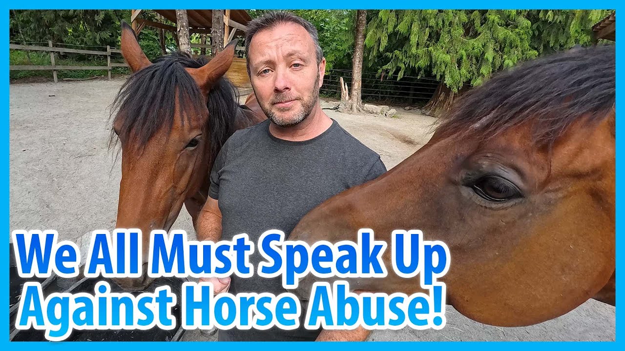 Charlotte Dujardin, Another Caught Olympic Horse Abuser
