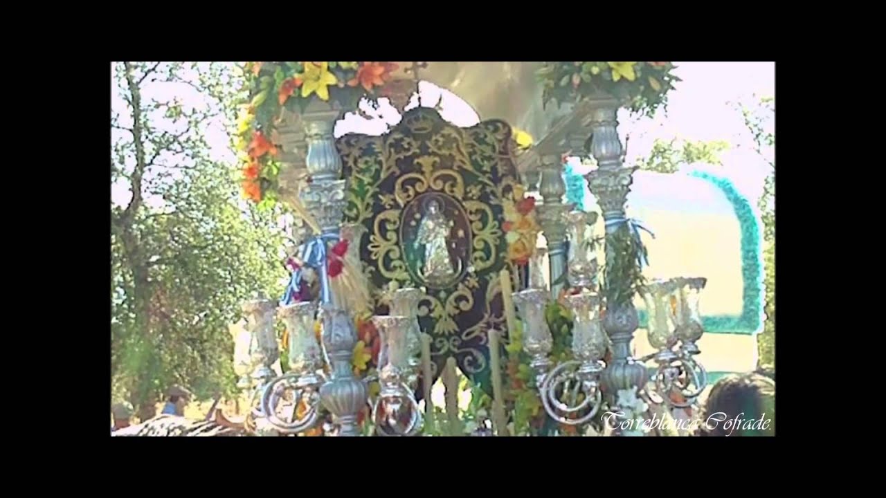 Romería de la Hdad. del Inmaculado Corazón de María, 2015 (Torreblanca)