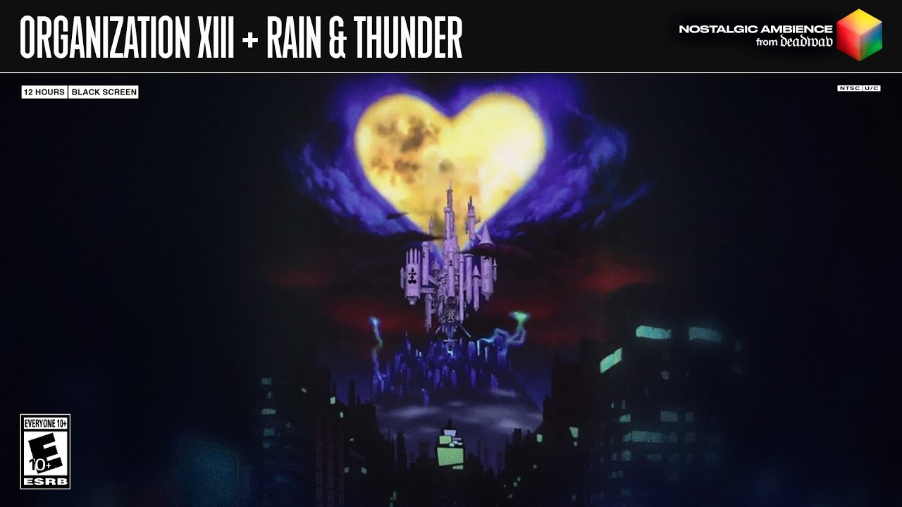 Organization XIII + Rain & Thunder