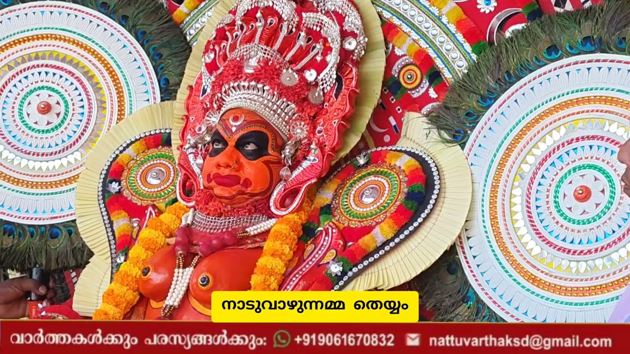 നാടുവാഴുന്നമ്മ തെയ്യം - പടുപ്പ് അങ്കത്ത് വയൽ