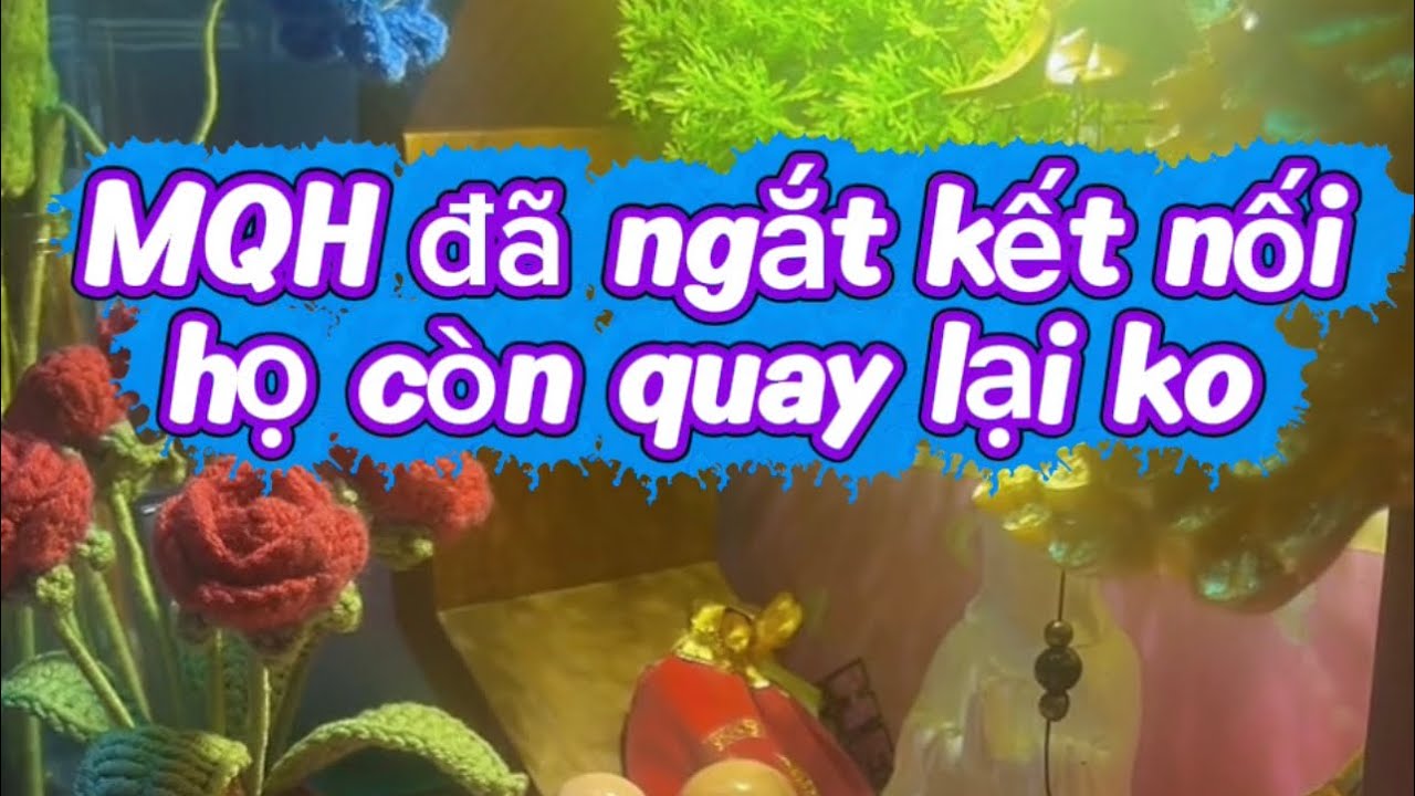 MQH đã ngắt kết nối họ còn quay lại ko