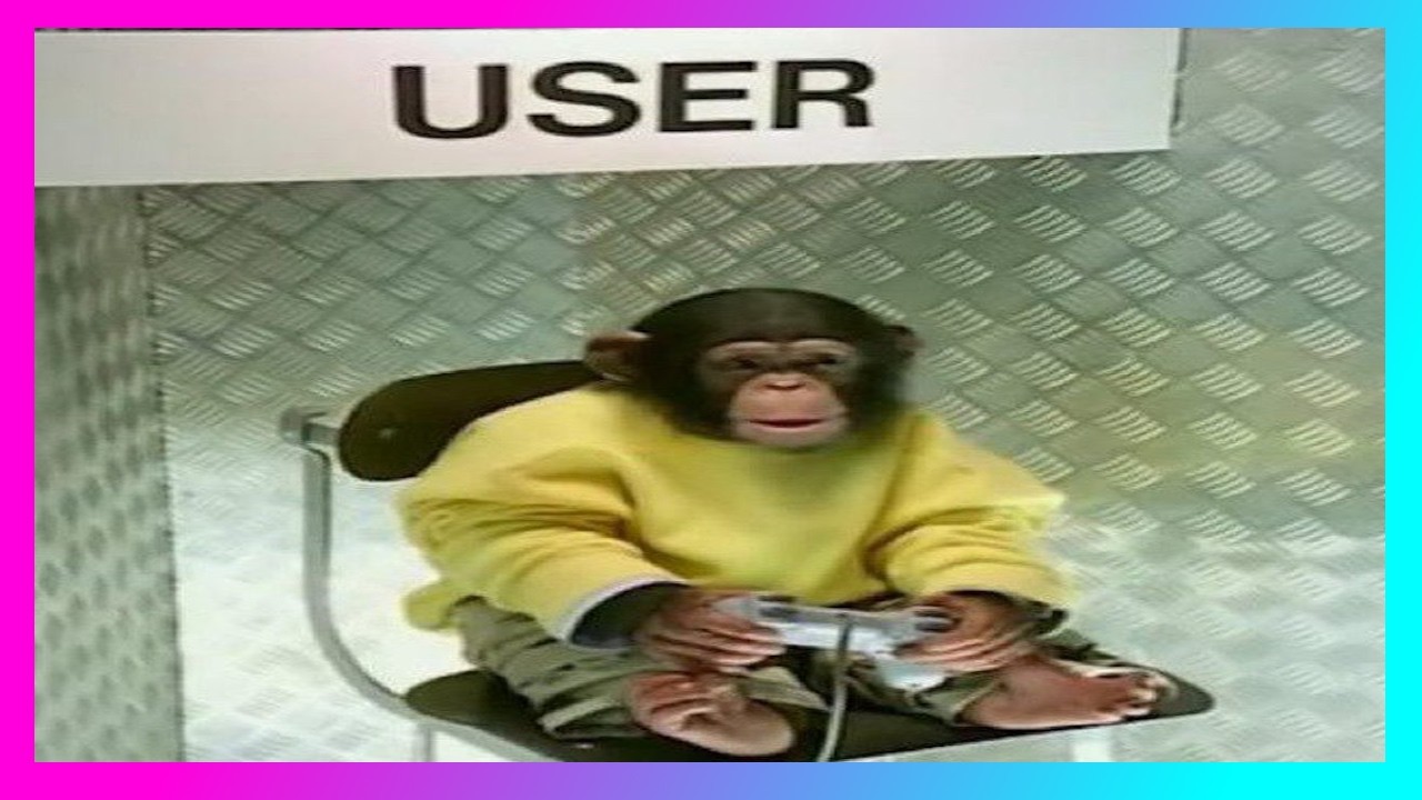 All my friends are apes
