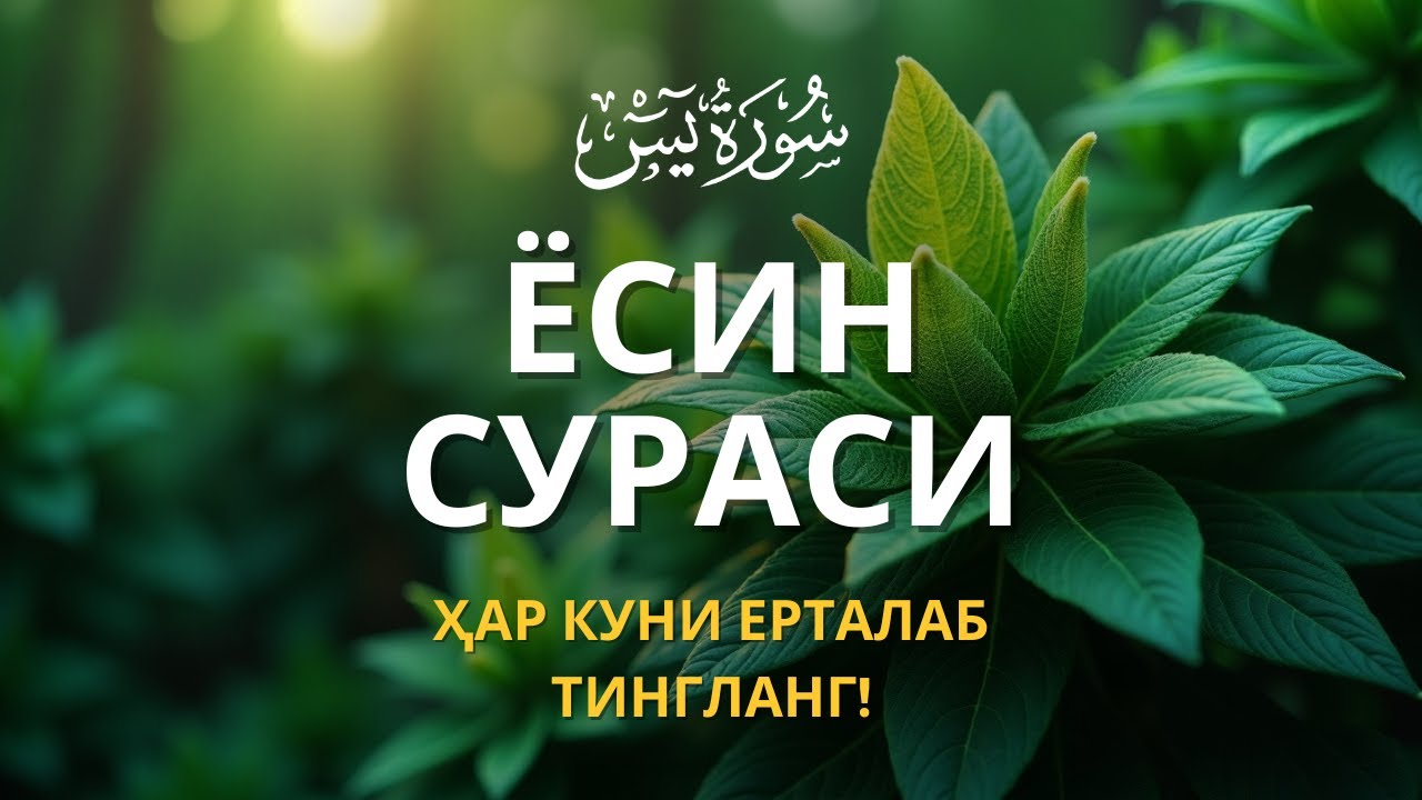 ЁСИН СУРАСИ - Узбек тилида! Ясин сураси - ҲАР КУНИ ЕРТАЛАБ ТИНГЛАНГ! Узбекча дуолар /Тонги дуо