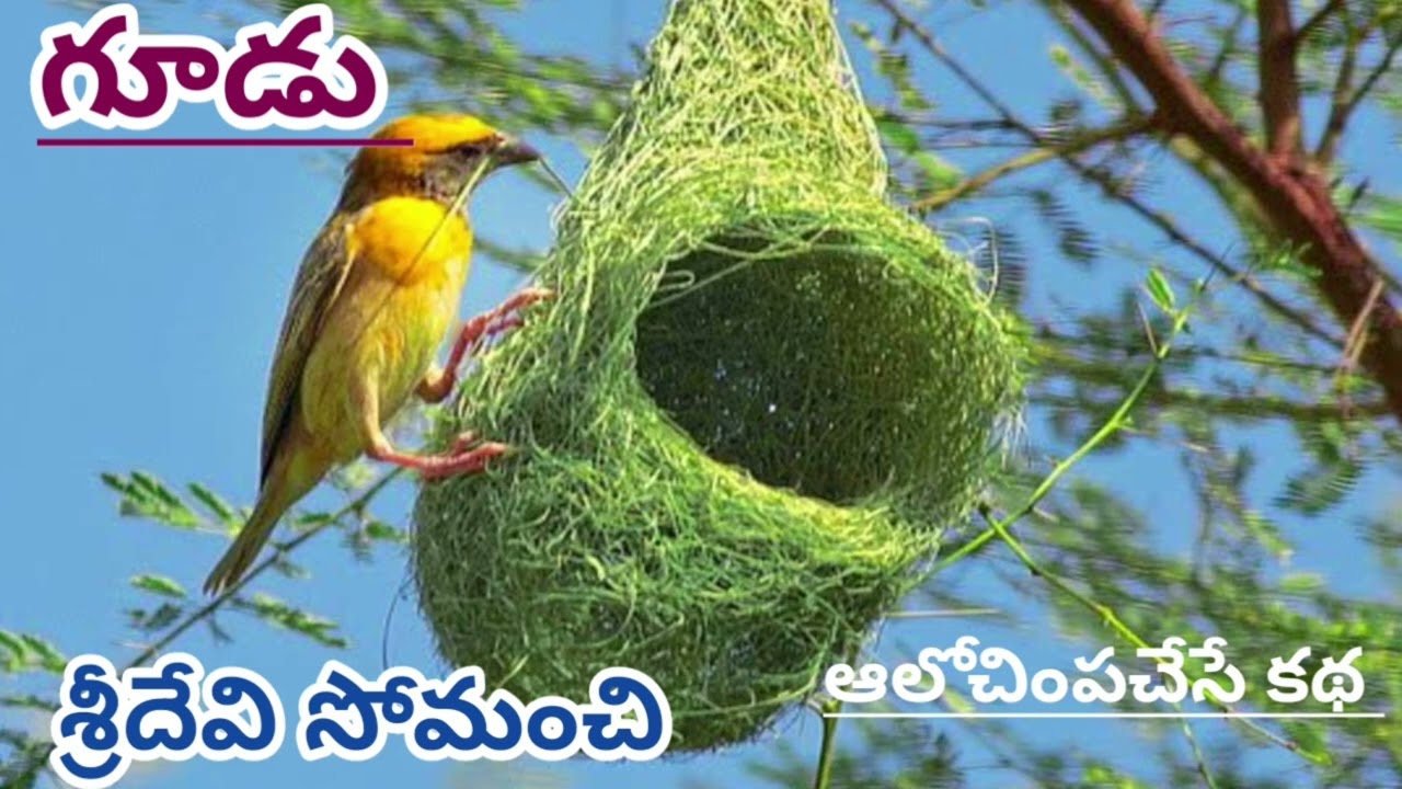 కుటుంబ సభ్యులతో సరిపడకపోవడం అనేది ఎందుకు.. ఎలా జరుగుతుందో అన్ని కోణాల నుంచి చర్చించిన కధ#audio story
