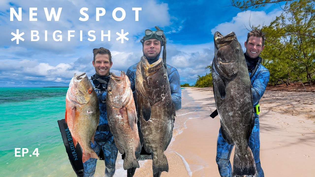 New Spot Produces ENORMOUS Grouper & Snapper || Bahamas Polespear