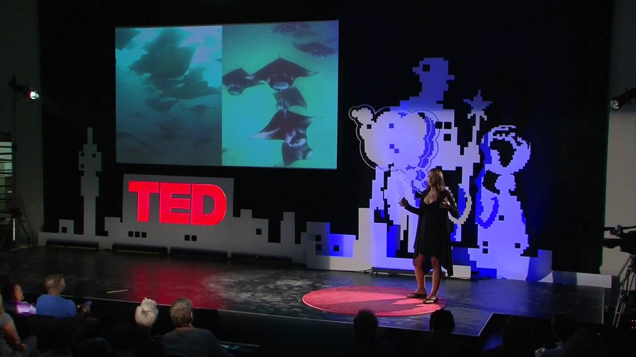 Andrea Marshall: An up-close look at the majestic manta ray