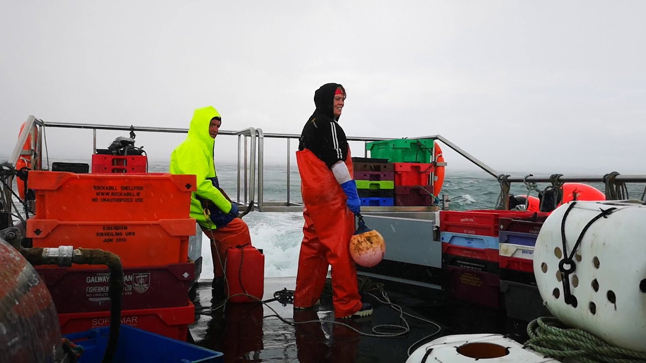 Whelk Fishing
