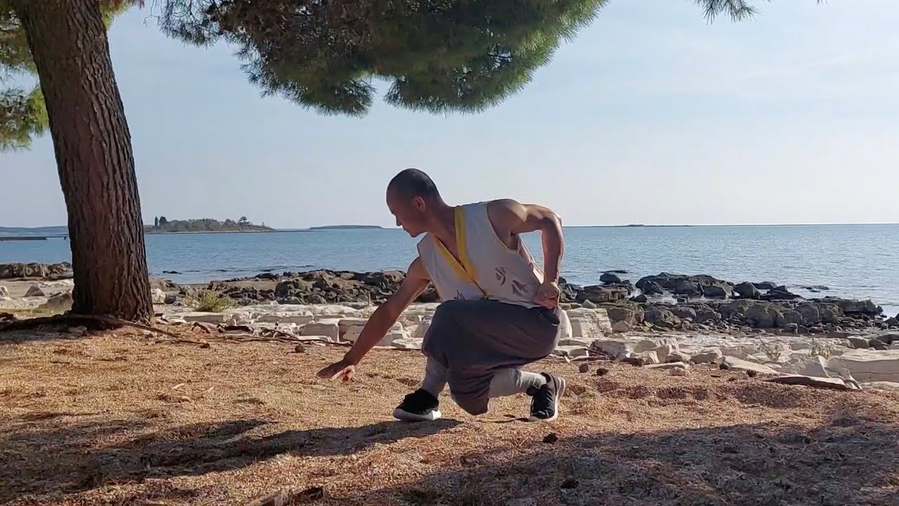 Shaolin Kung Fu Class 6: Rest Stance