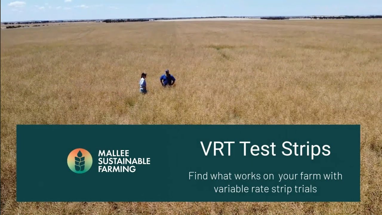 🌾 Test Strips with Adrian