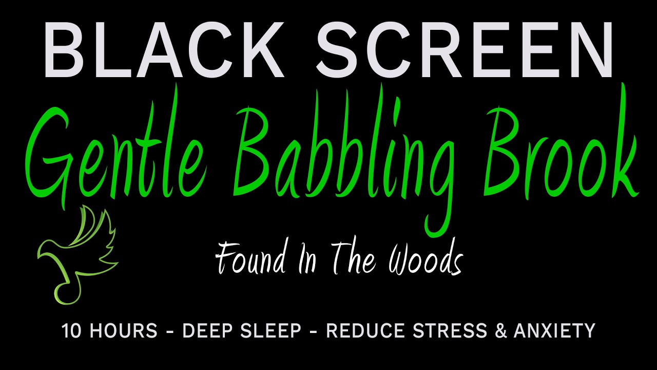 Escape to the WOODS with Gentle Babbling Brook ASMR!