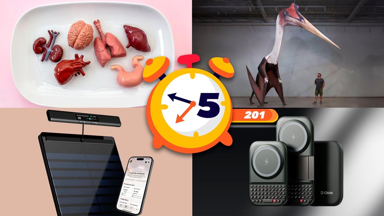25 cosas que NO SABÍAS hace 5 minutos ⏰🧠 #201 [Curi]