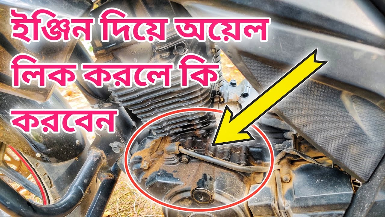 বাইকের ইঞ্জিন থেকে অয়েল লিক করলে কি করবেন?? Bike Engine oil leakage problem solve