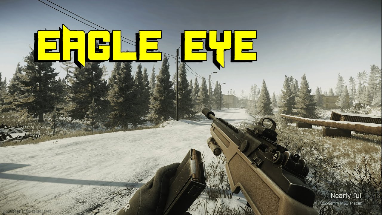 Eye In The Sky Baby! (EFT 1.0 Full Release, Eagle Eye Qest Complete Guide)