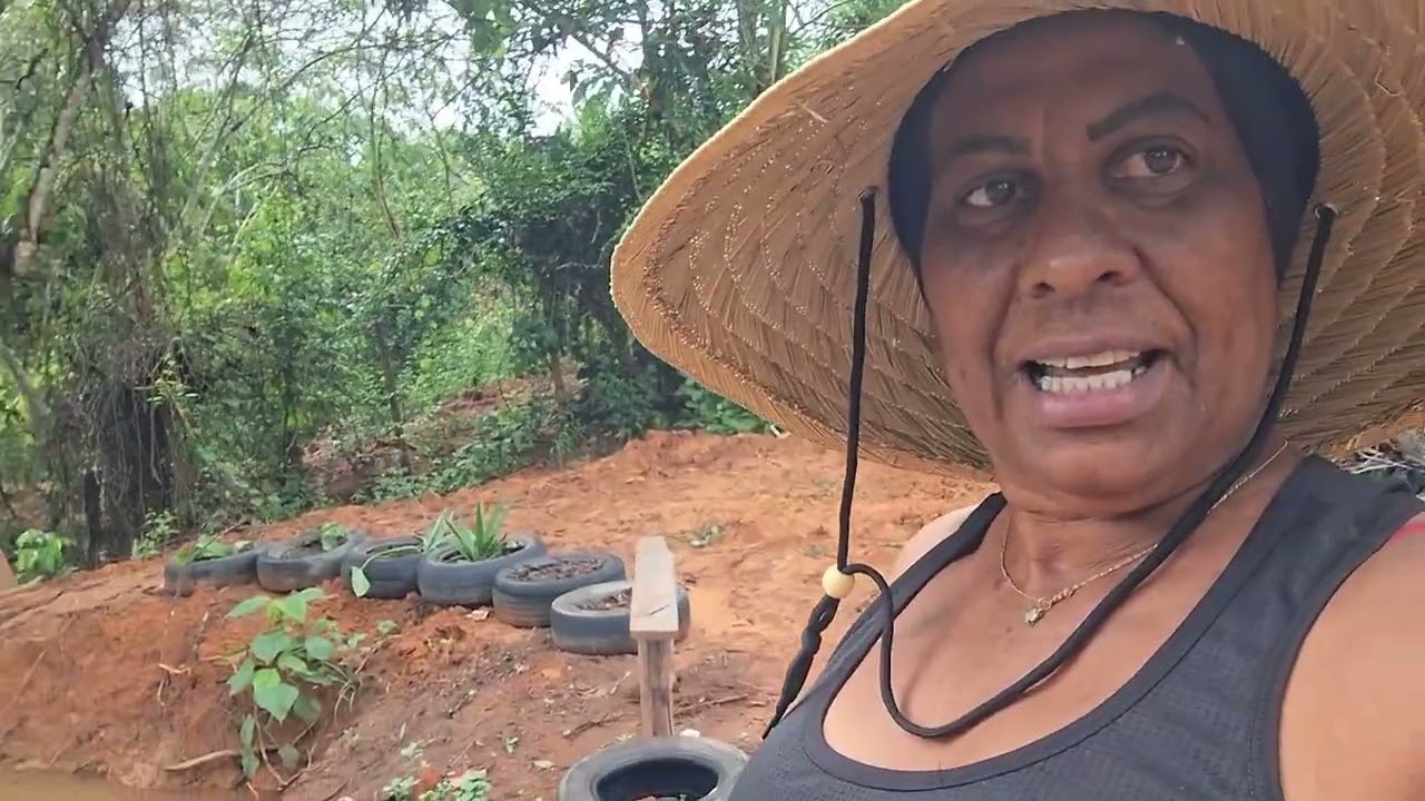 Voltei na roça  e trouxe + pneus pra colocar no poço. Coloquei + orquídeas  na árvore 🌳 