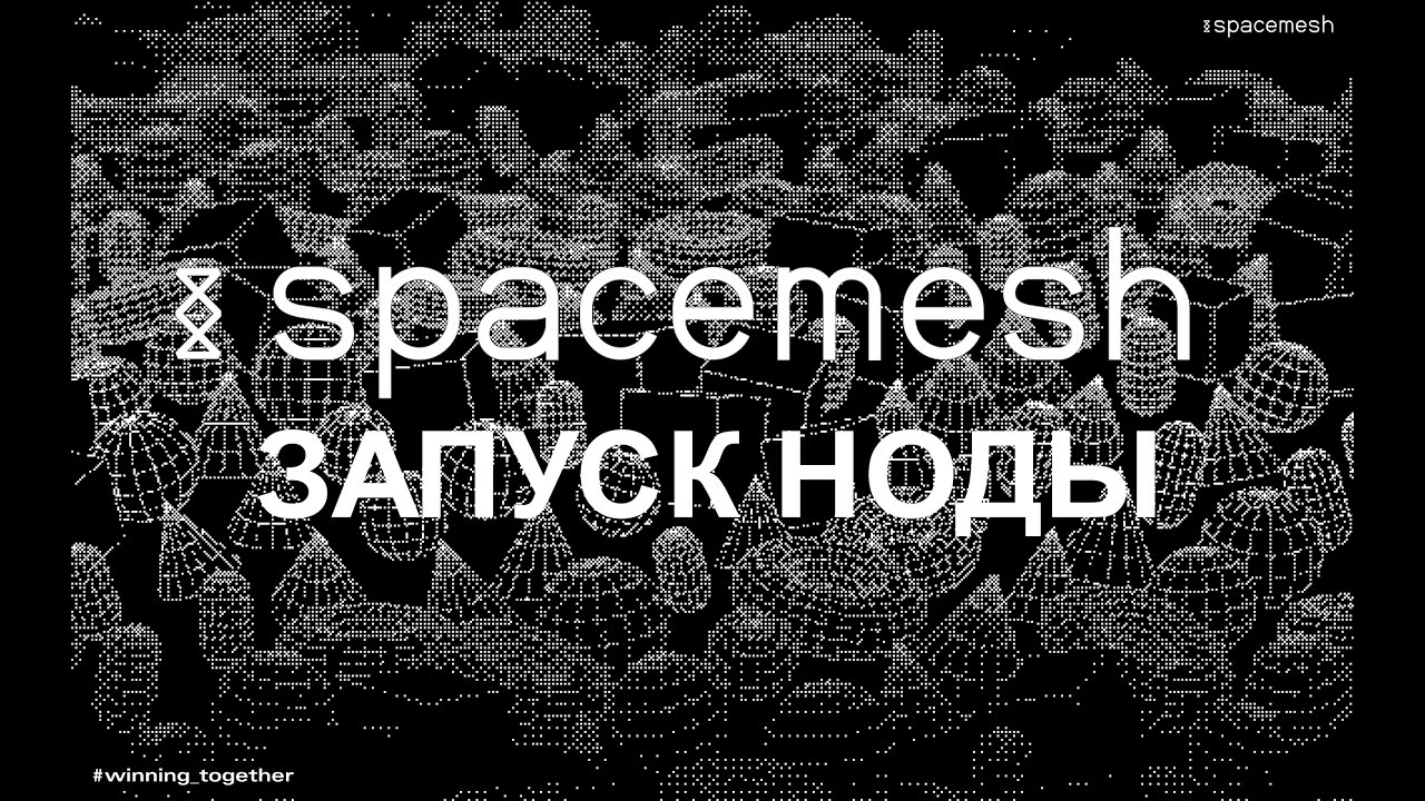 Spacemesh. Установка и запуск ноды на Windows. v2