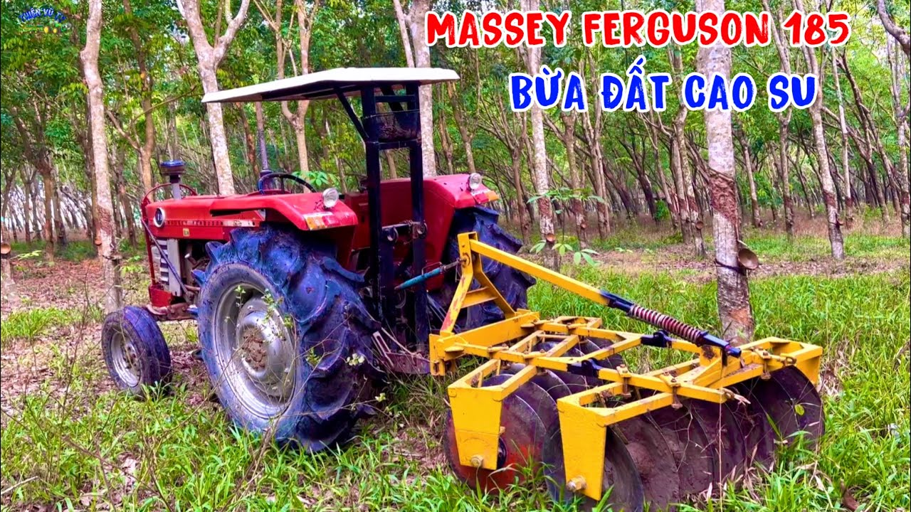 Máy cày massey ferguson 185 bừa đất cao su cho chết cỏ bằng dàn 14 chảo chạy quá nhanh, thiện vũ tv