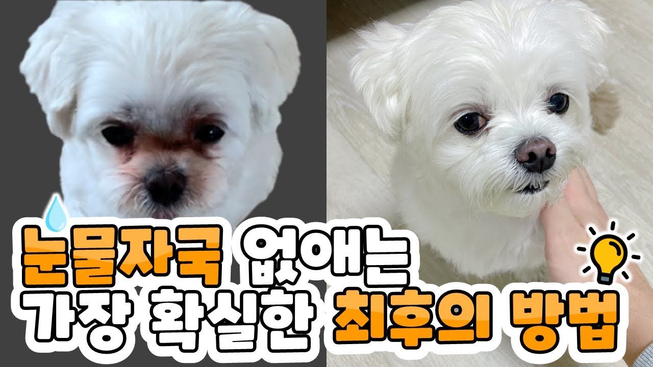 눈물자국 고민! 이거 하나로 해결!!