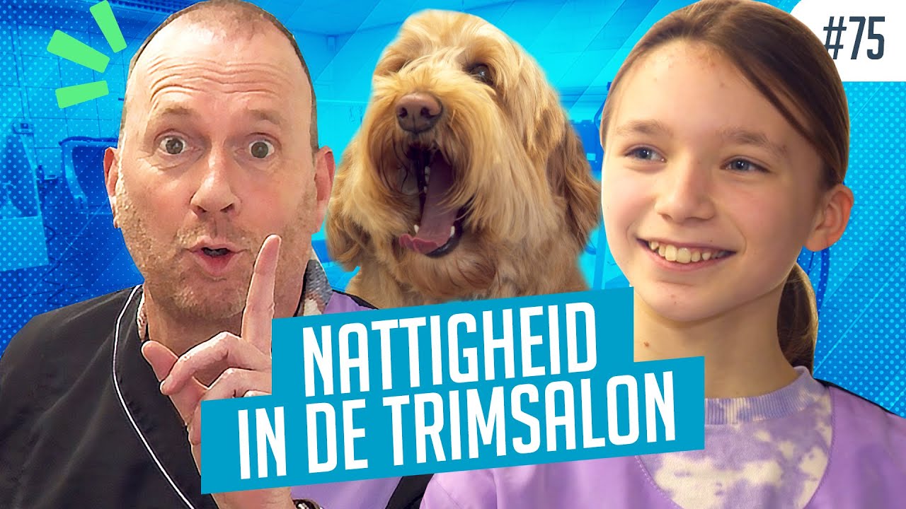 Liza geeft hond Freddie te gek kapsel in HONDENTRIMSALON