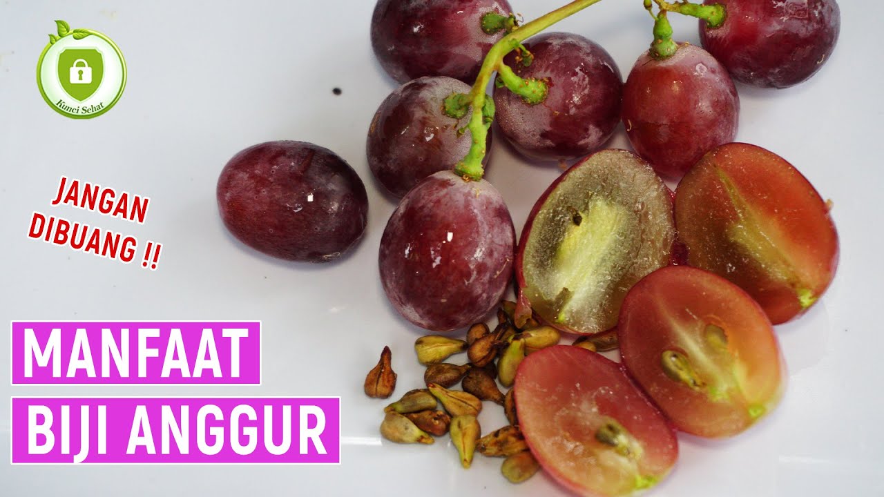 Tak Diduga! 7 Manfaat Biji Anggur untuk Kesehatan