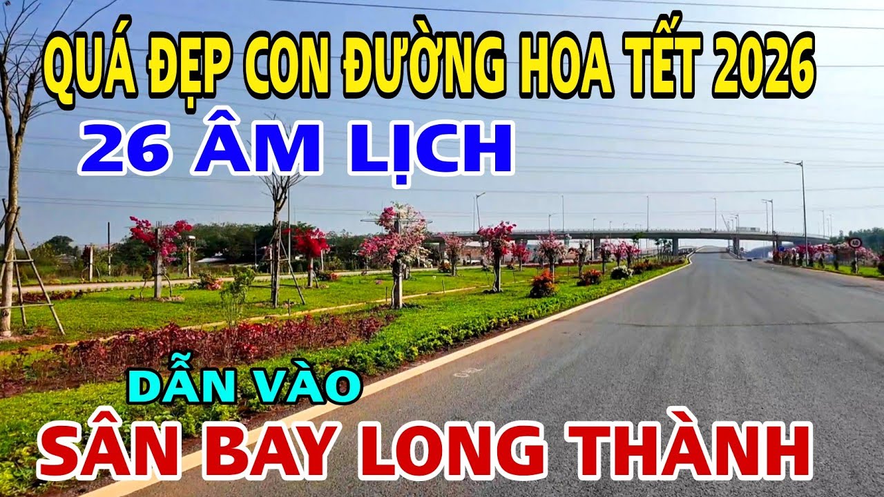 QUÁ ĐẸP CON ĐƯỜNG HOA TẾT DẪN VÀO SÂN BAY LONG THÀNH TRONG NGÀY 26 ÂM LỊCH .