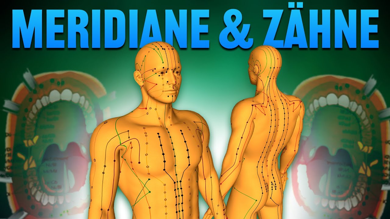Meridiane und Zähne- Die unsichtbare Verbindung zwischen Zähnen und Organen