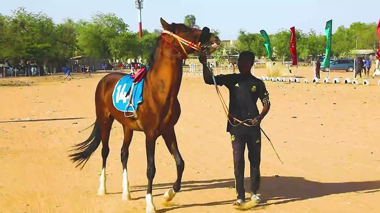 Kano 2023 - Arewa Nigeria (M) 1200M