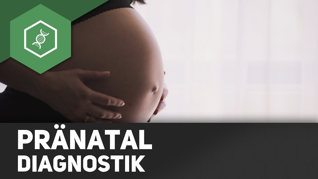 Pr&auml;nataldiagnostik