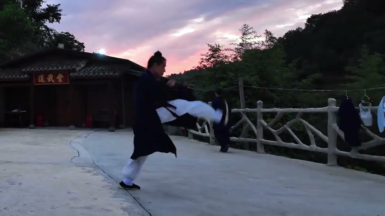 Wudang Xuanwu Fist: A Martial Art of Balance in the Morning Mist