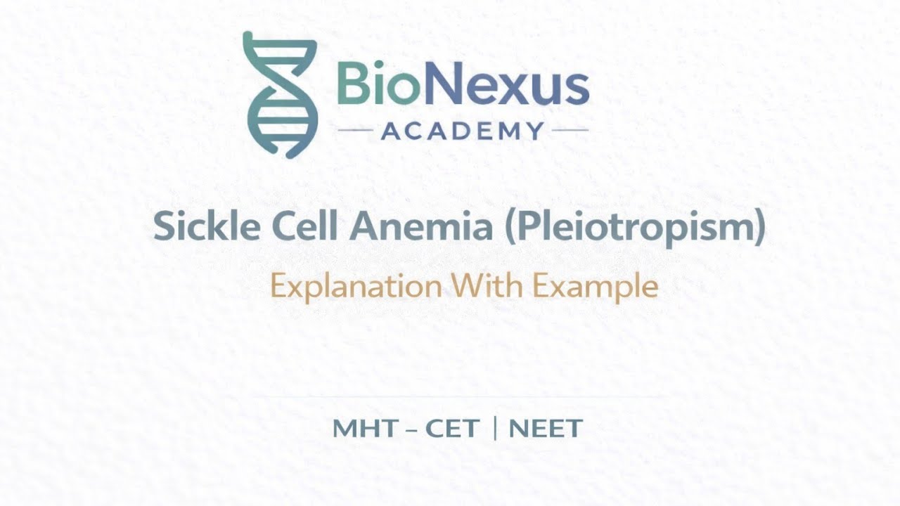 Sickle Cell Anemia | Pleiotropism Explained Clearly! | Genetics