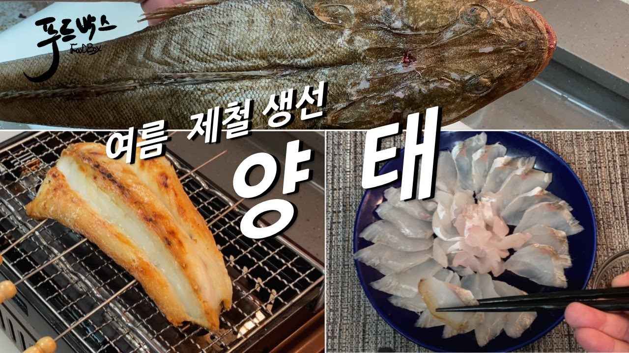 여름 제철 생선 양태 ! 어떻게 먹는게 가장 맛있을까?