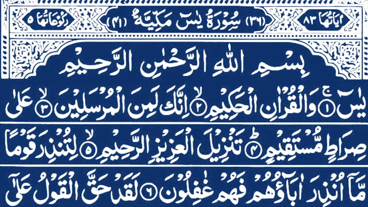 Surah Yaseen Surah Ar Rahman | Surah Yaseen Fast Tilawat | Ep 474 | Amazing Quran Tilawat | Mulk