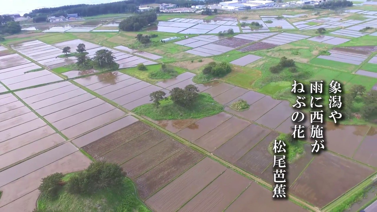 秋田138【九十九島】にかほ市《象潟はうらむがごとし》