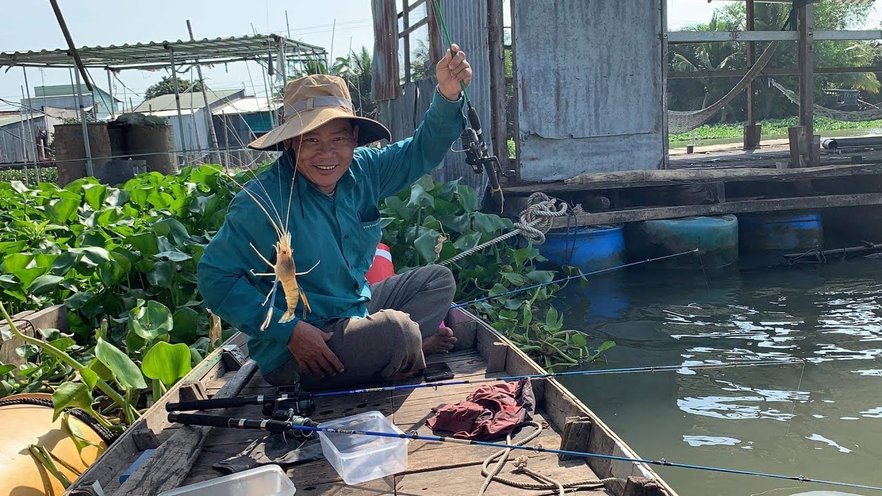 Câu tôm càng xanh, trúng ổ tôm lên liên tụ @TAMCARO .