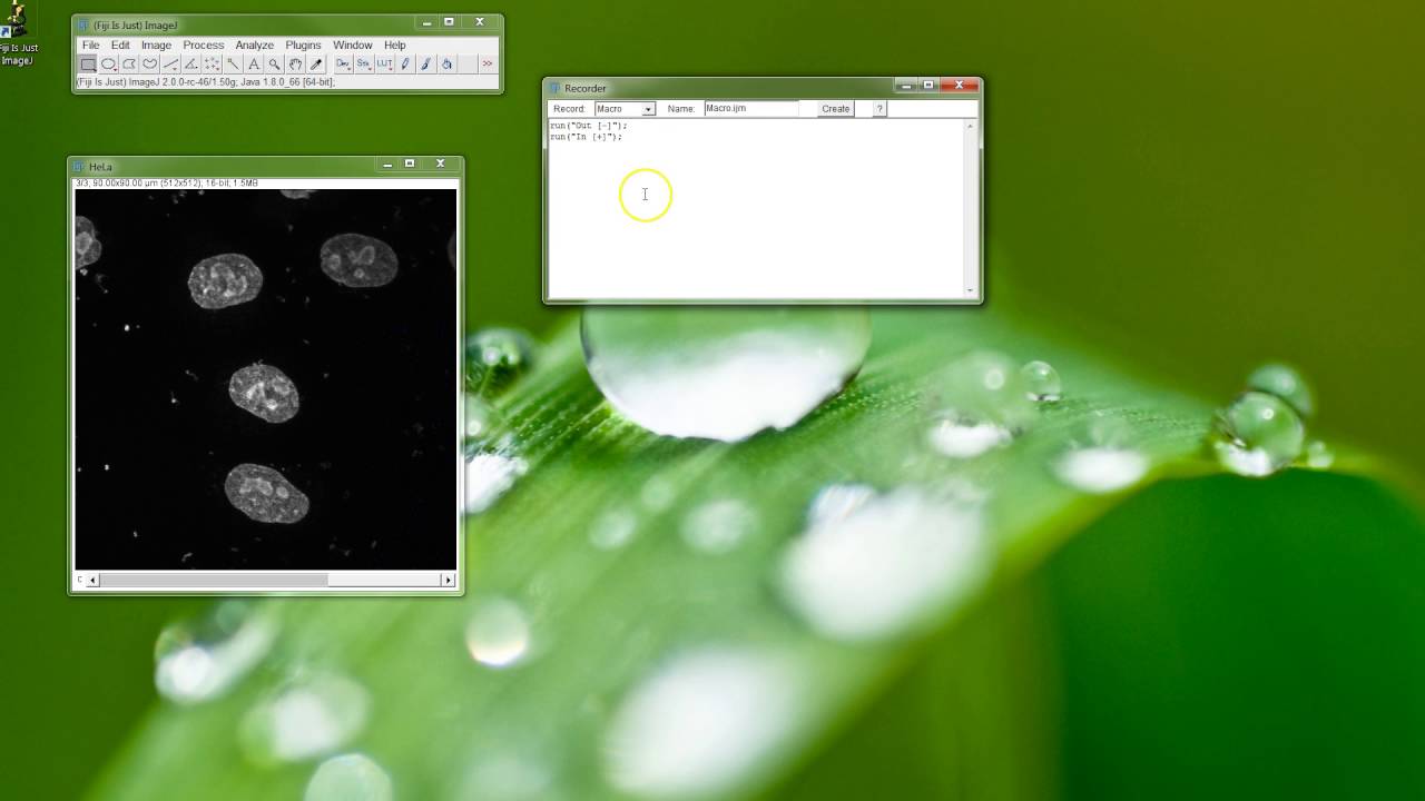 Fiji Is Just ImageJ - Create Simple Macro