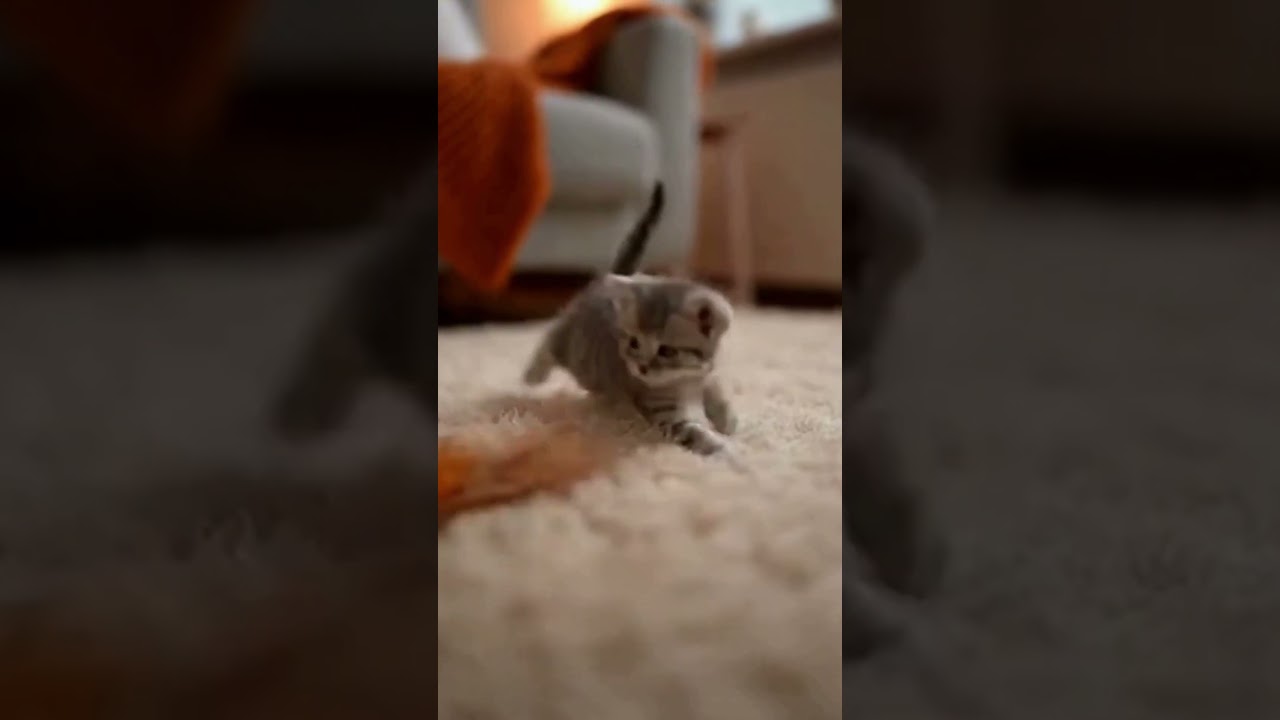 Tiny Hunter in Training! 🐾✨