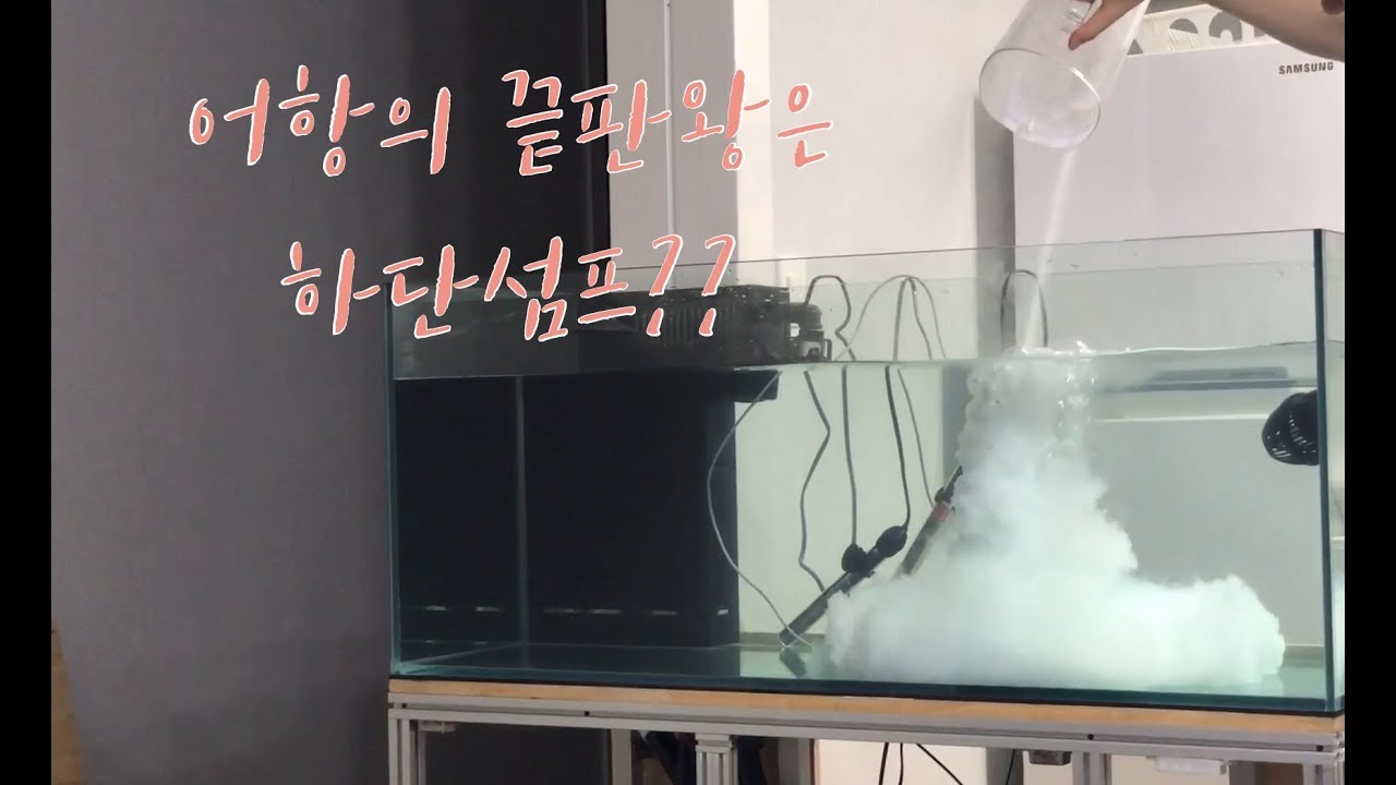 어항의 끝판왕은 하단섬프라며?!! | 하단섬프의 이해 / 해수어항 세팅 / 해수어 키우기 / Starkrium