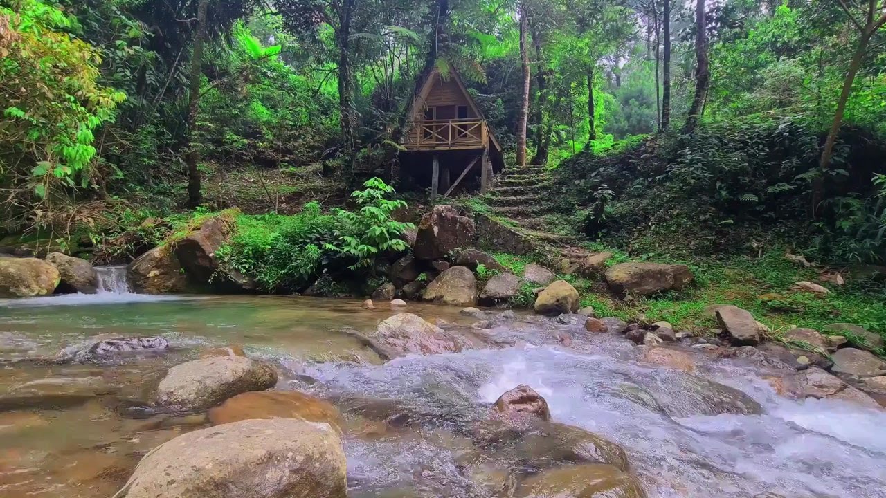 Peaceful River Stream | Gentle Water Flow for Deep Sleep and Inner Calm