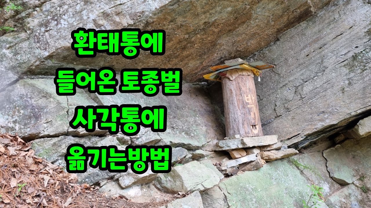 환태통에 든 토종벌 관리하기좋게  사각통으로 쉽게 옮겨보자