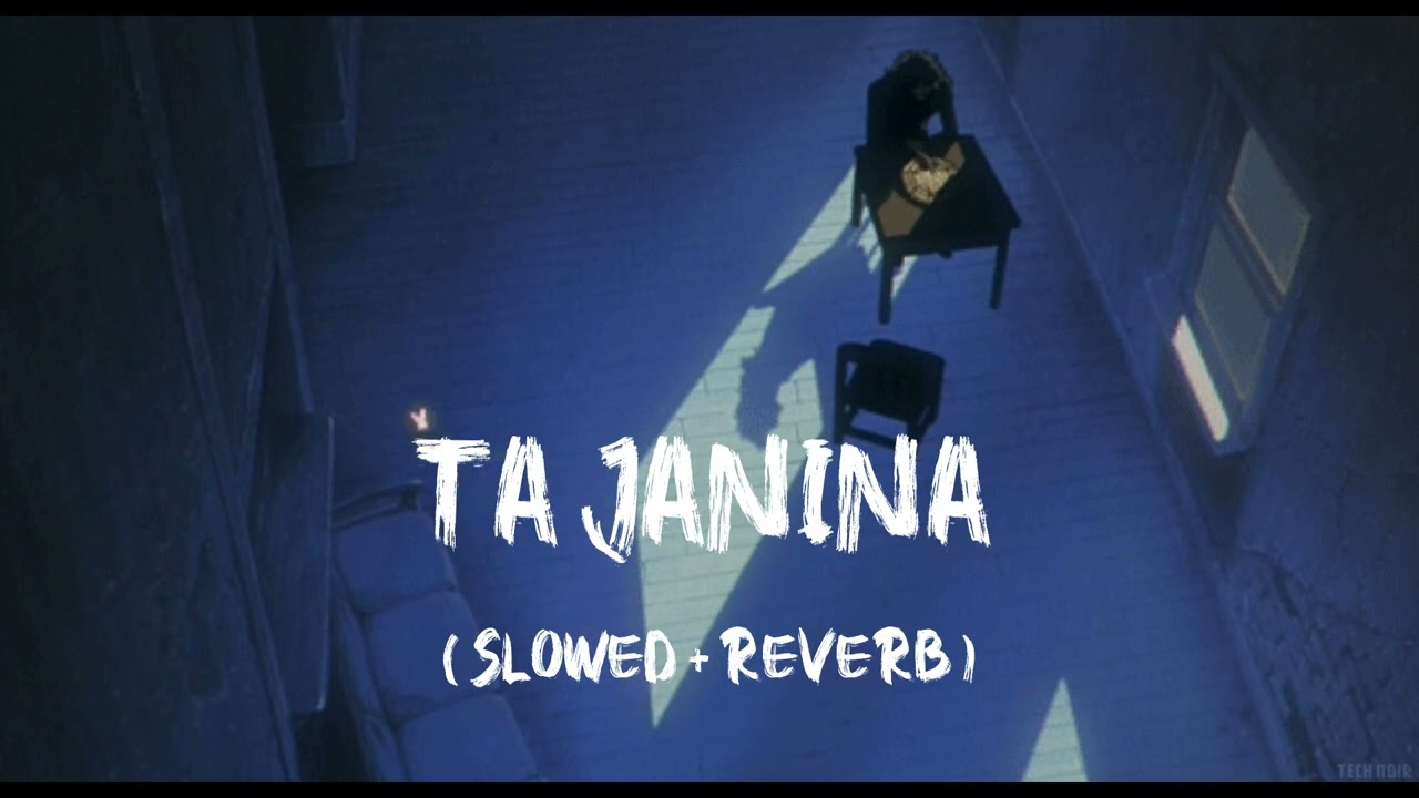 Ta Janina (তা জানিনা) [Slowed+Reverb] | Tanveer Evan X Barney Sku | Lofi Ussash