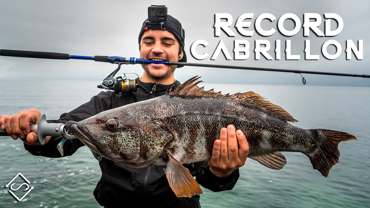 Record De Cabrillón 4Kg !! - Fishing Fish Ep.1