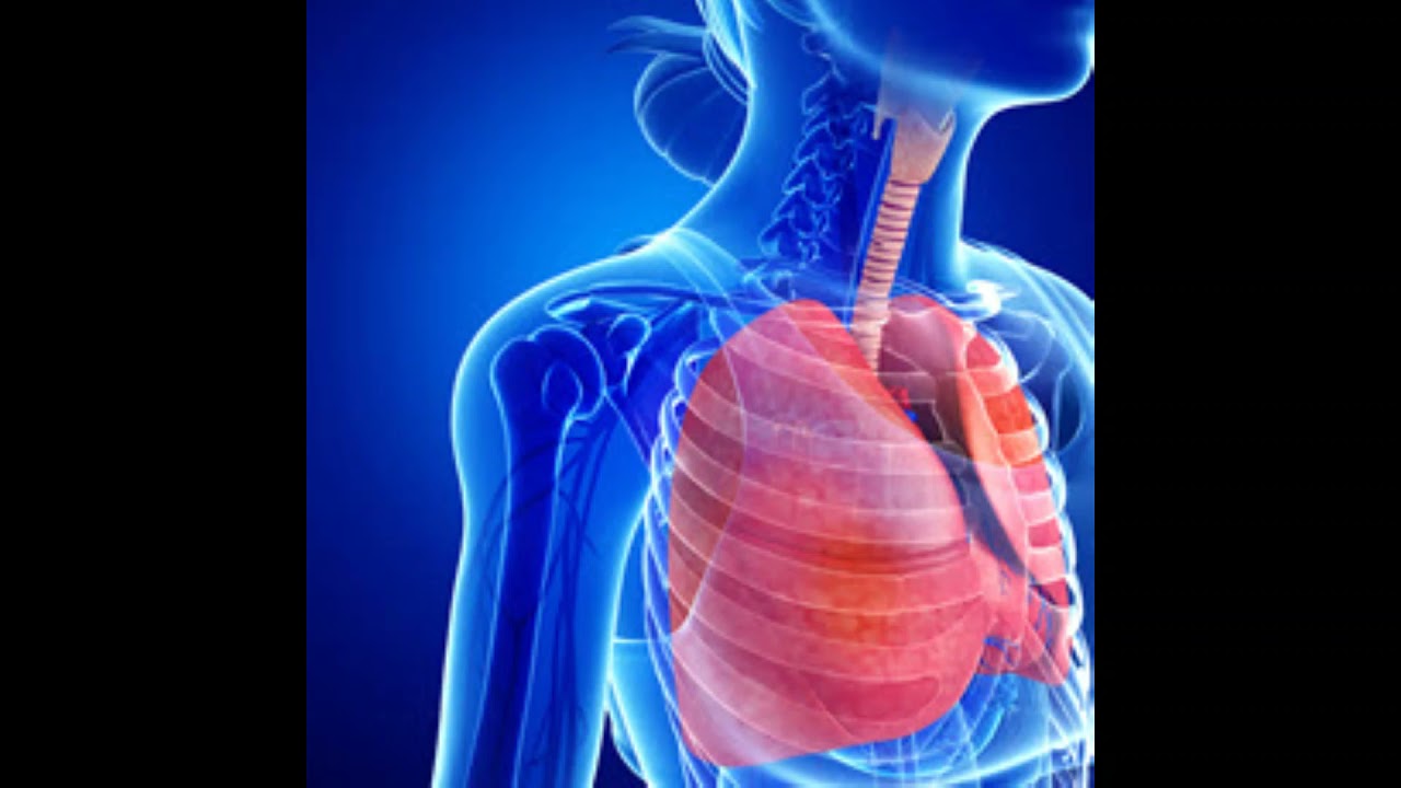 87 Hz : Pleura (RIFE Healing Frequency)