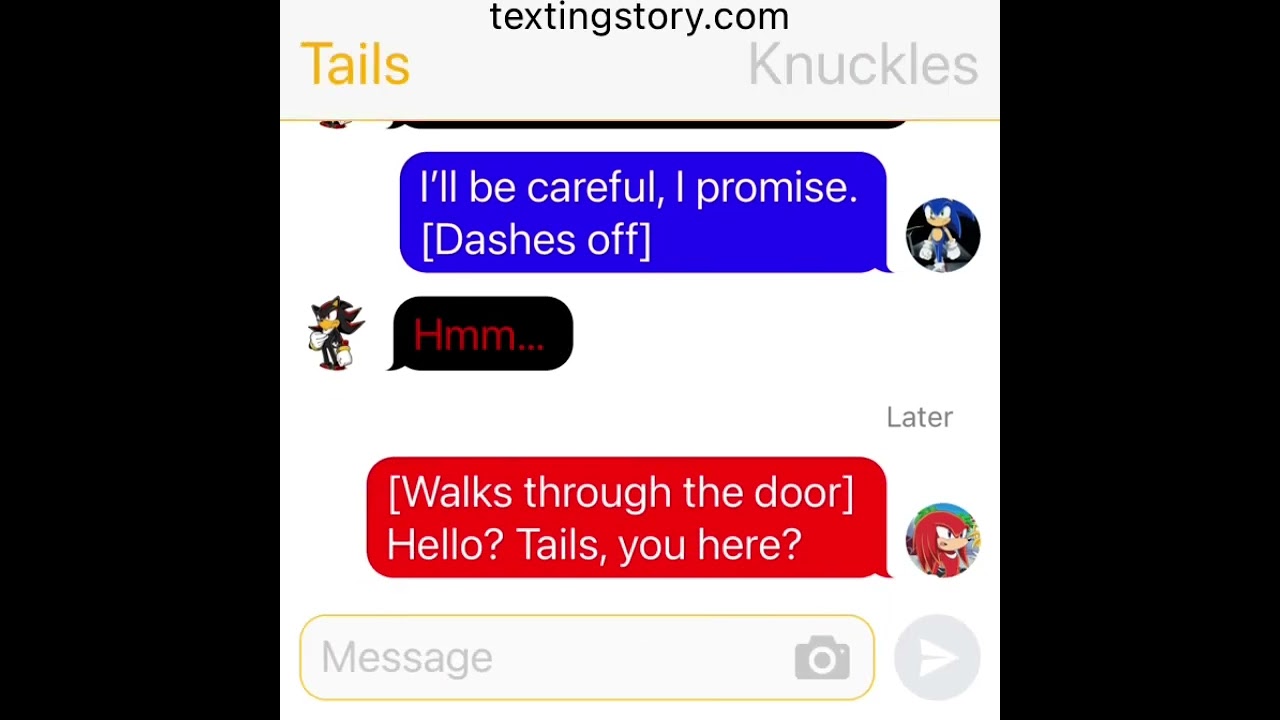 Sonic and Shadow Comfort Tails