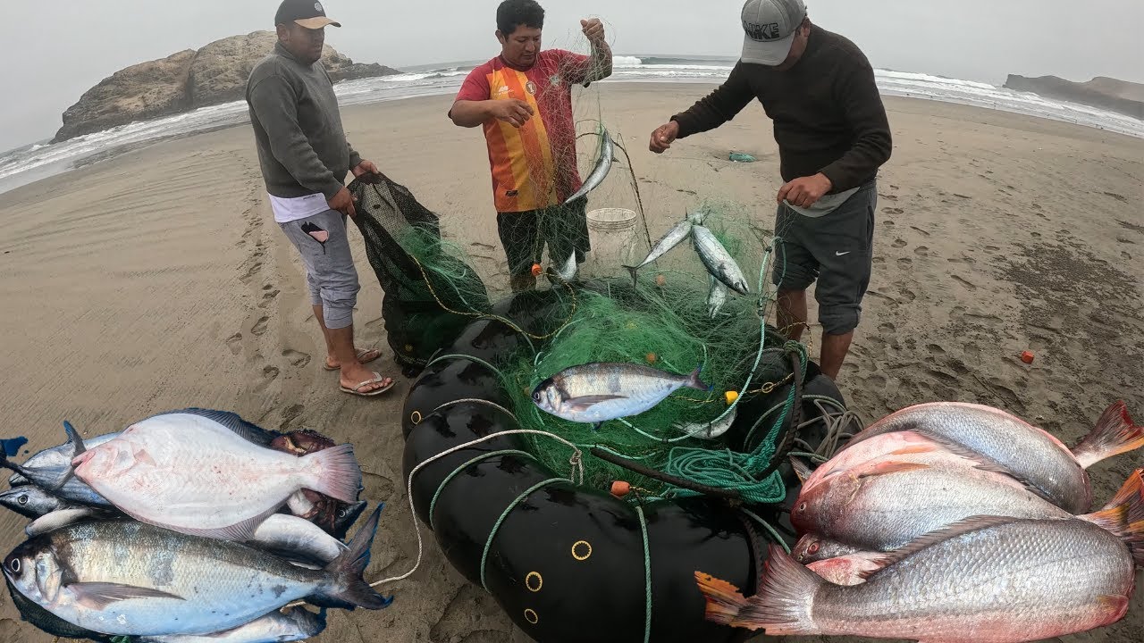 Me arriesgue en sacar esta red en la mar picada y mira lo que me pasó!!