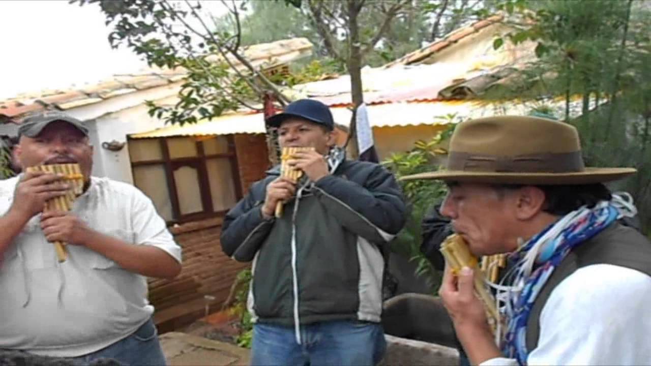 Pajarillos del campo