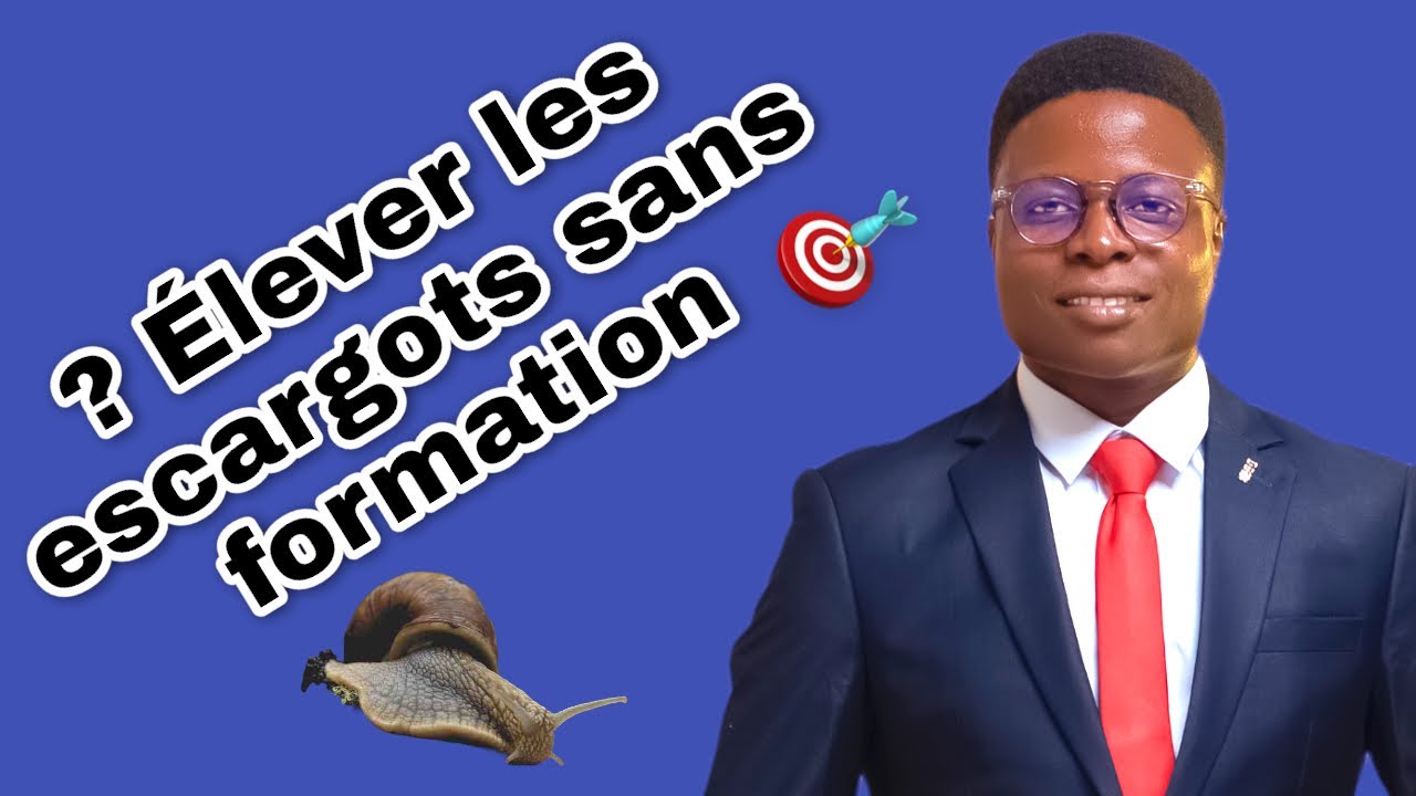 Comment élever les escargots sans formation ?