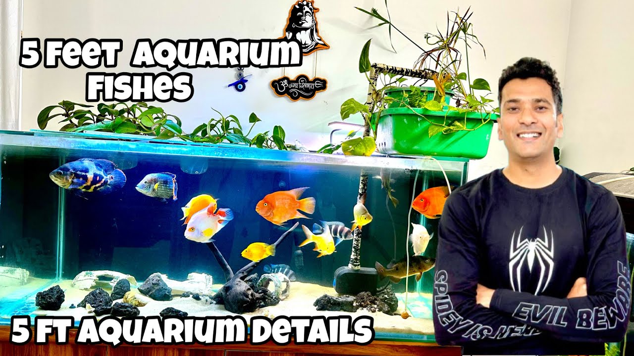 *5 Feet Aquarium Setup & Fish Details* | Indian Aqua Boy03 vlog