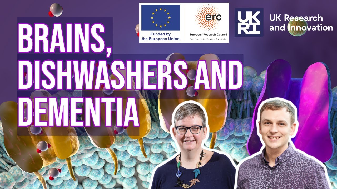 Brains, dishwashers and dementia