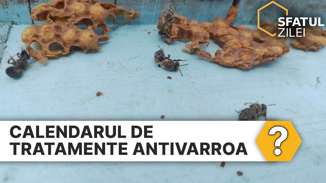 Calendarul de tratamente antivarroa