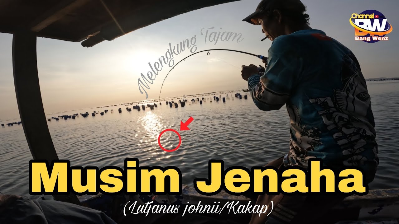 Jenaha fish season Strike in a row #fishing #anglerindonesia #fishingmania #jenaha