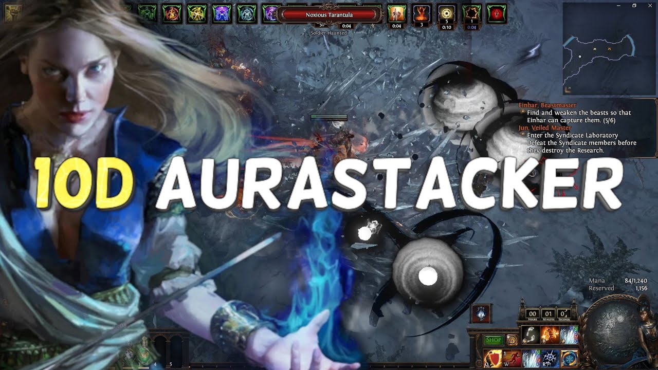 Бюджетный сорт Aura Stacker Glacial Cascade Scion